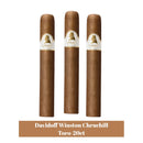 Davidoff Winston Chruchill Toro- 20ct