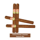 Arturo Fuente Cannones Natural 20ct