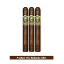 Ashton VSG Robusto-24ct