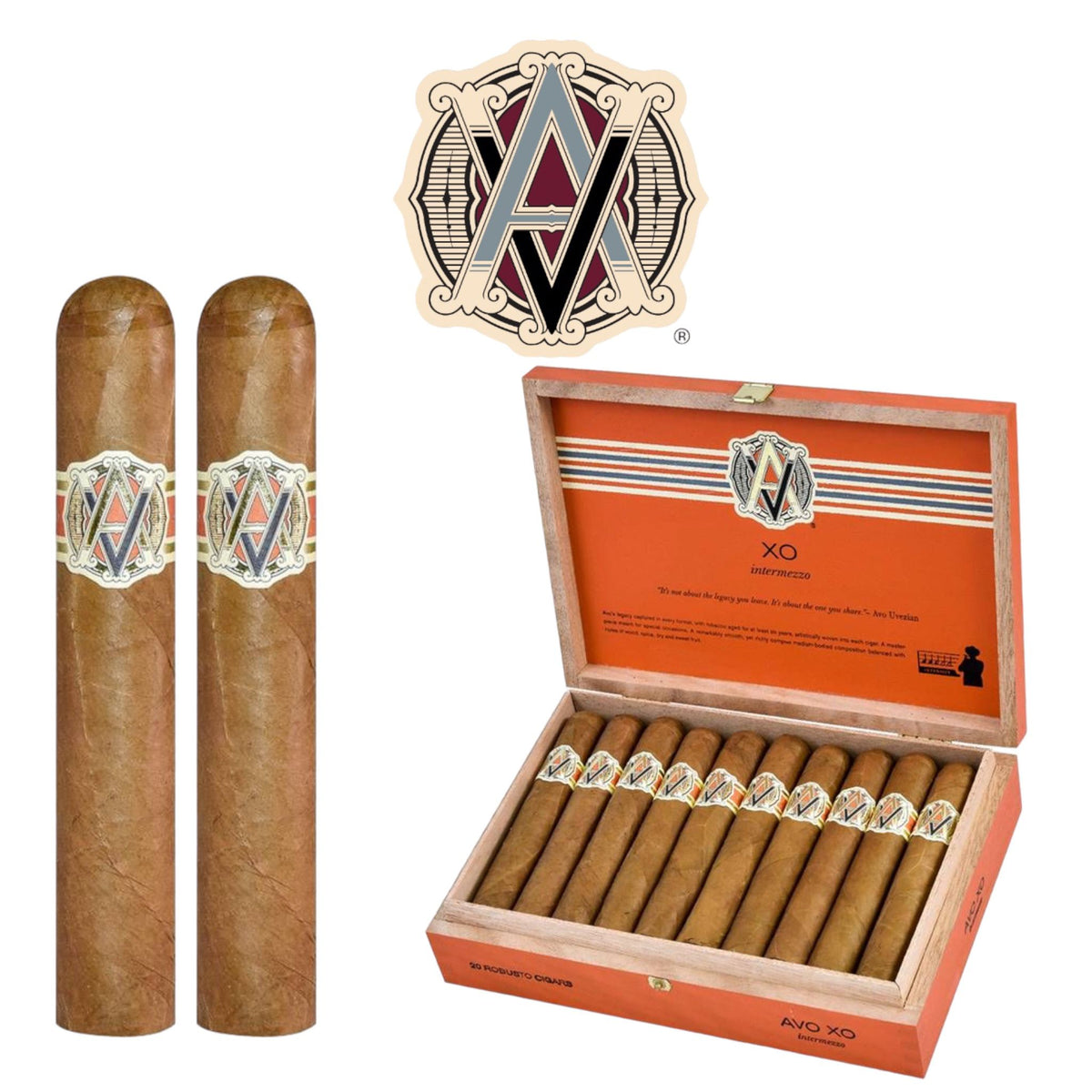 AvoUvezianXORobusto-