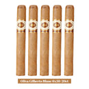 Oliva Gilberto Blanc 6x50-20ct