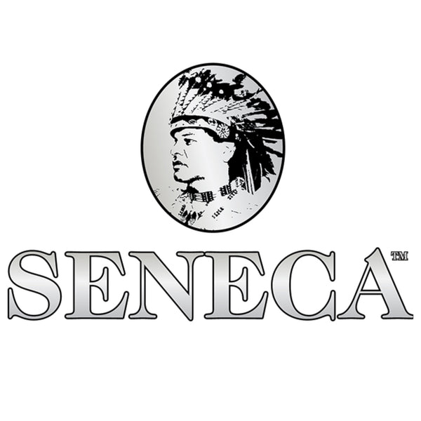 洋書 Seneca
Ad Lucilium Epistulae Morales The Death and Rebirth of the Seneca / Antony F. C. Wallace