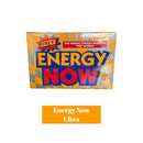 Energy Now Ginko 1pk Herbal Sup-24ct