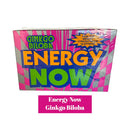 Energy Now Ginko 1pk Herbal Sup-24ct