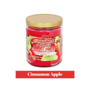 Smoke Odor Exterminator Candle-13oz