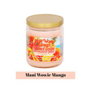 Smoke Odor Exterminator Candle-13oz