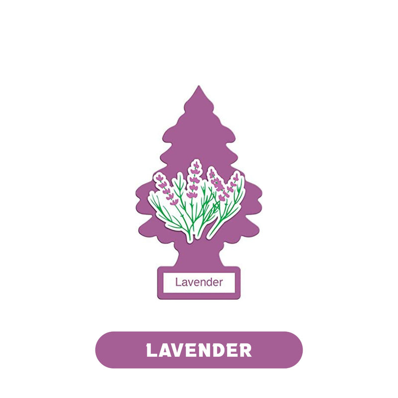 little trees lavender Little Tree Air Fresheners 1pk- 24ct